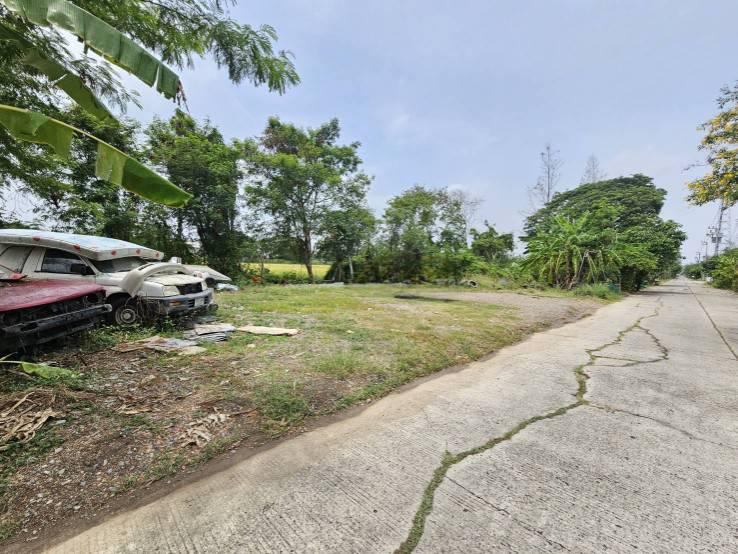 ที่ดิน 800000 กรุงเทพมหานคร เขตหนองจอก โคกแฝด